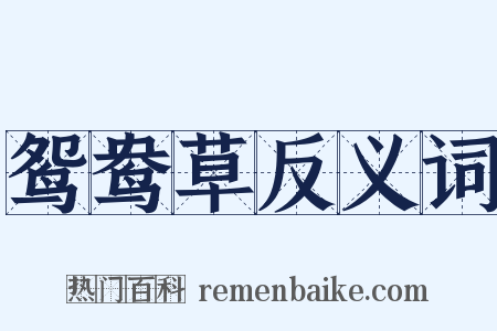 鸳鸯草反义词是什么意思的图片